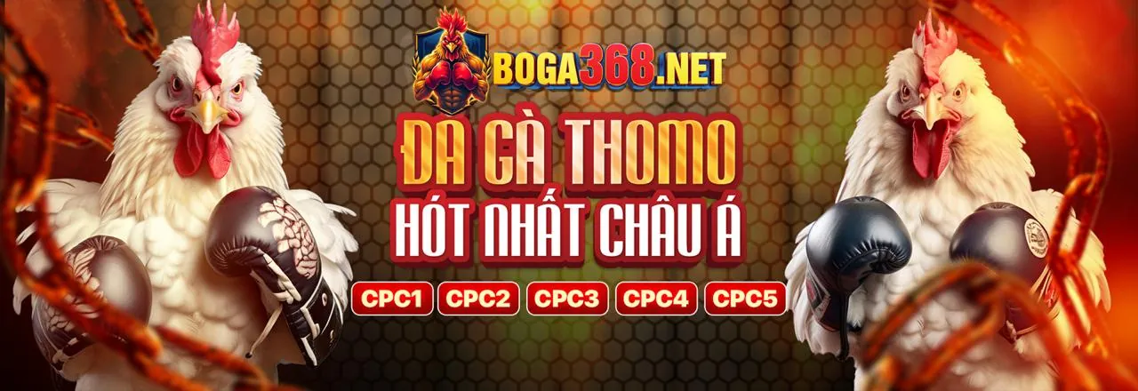 Đá Gà Trực Tuyến ảe